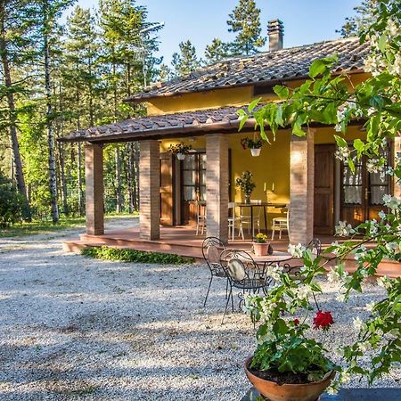 Il Ginepro Villa Cortona Eksteriør billede