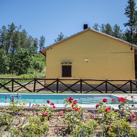 Il Ginepro Villa Cortona Eksteriør billede