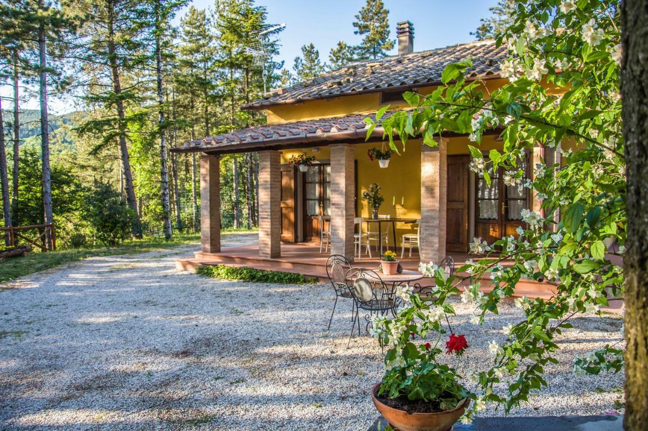 Il Ginepro Villa Cortona Eksteriør billede