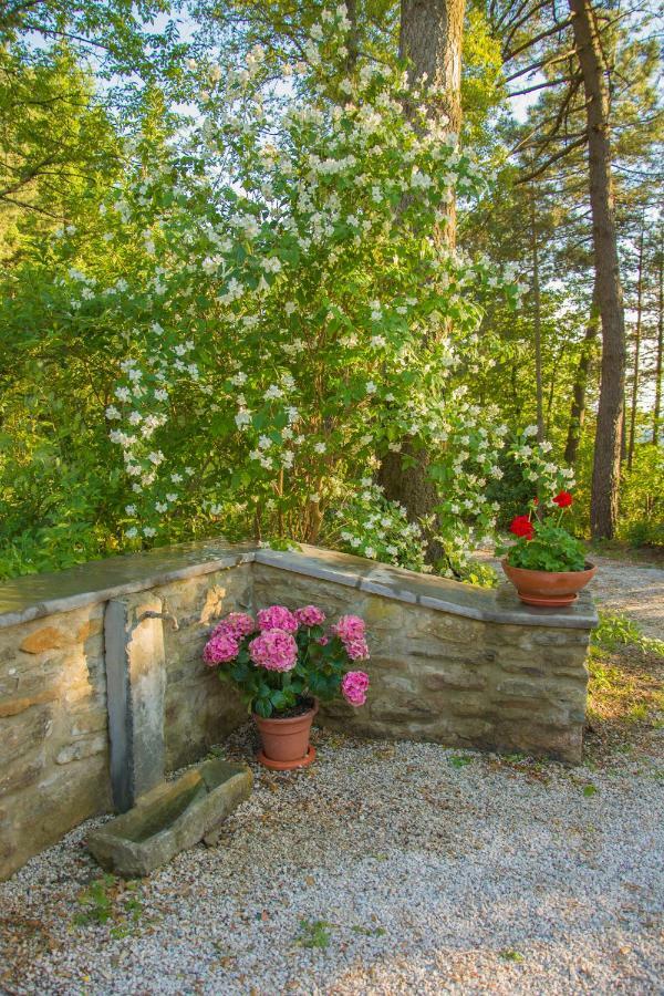 Il Ginepro Villa Cortona Eksteriør billede