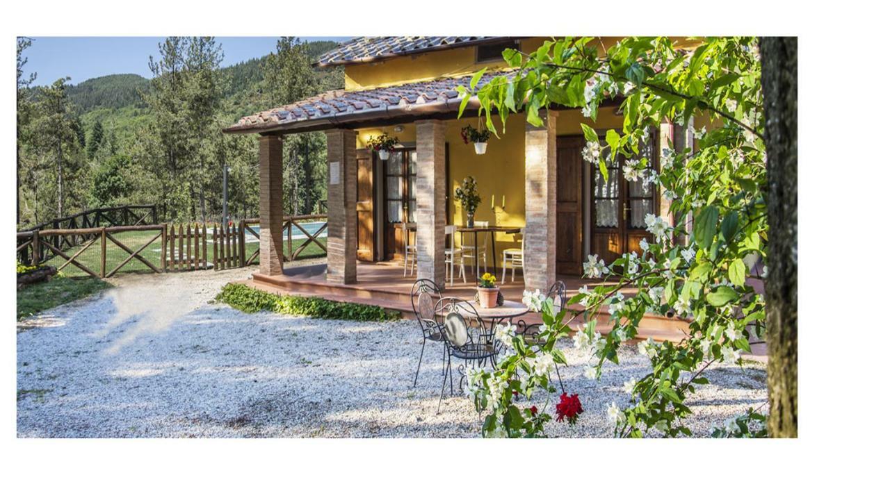 Il Ginepro Villa Cortona Eksteriør billede